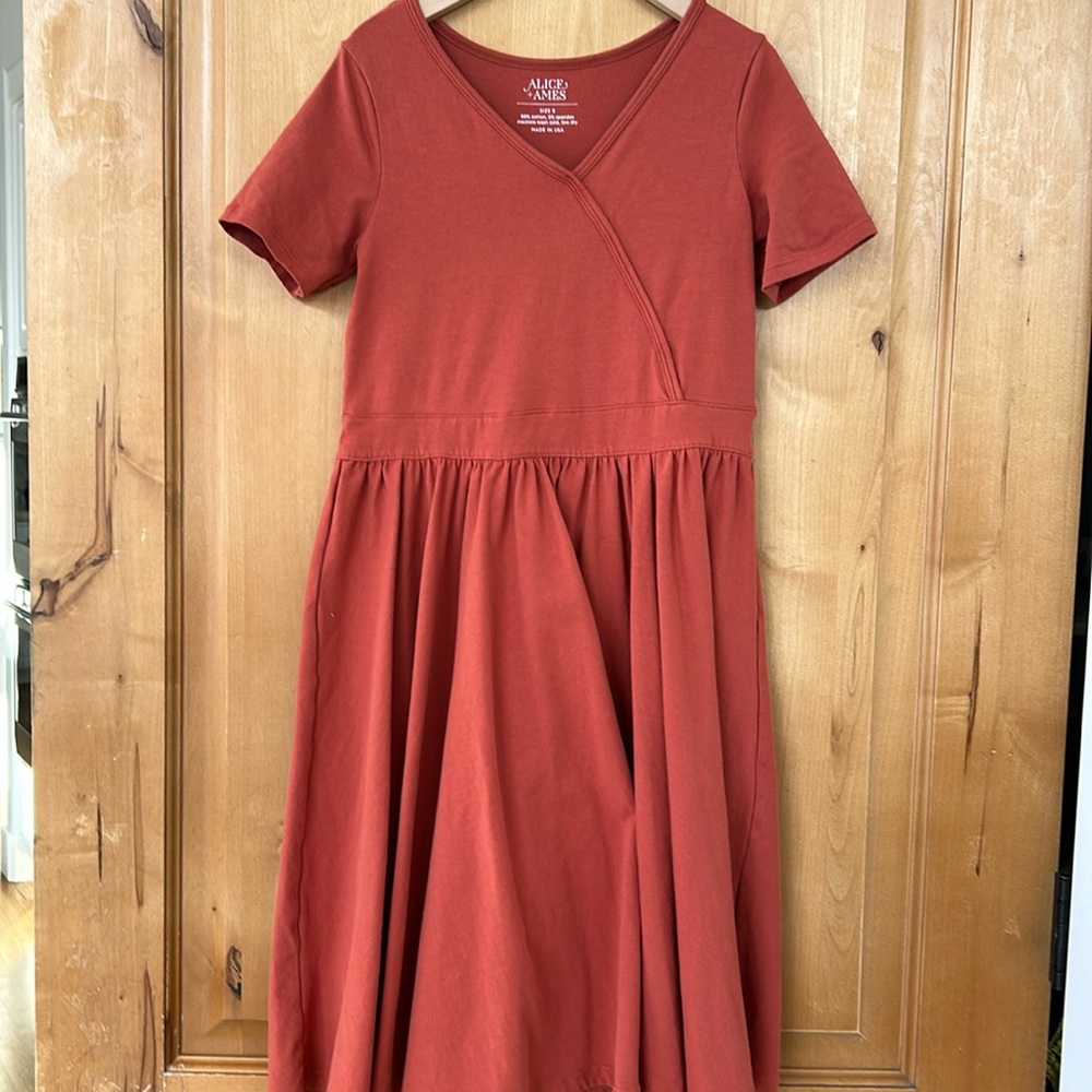 Alice & Ames burnt orange dress